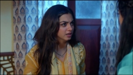 Mahadev And Sons - 11th August 2026